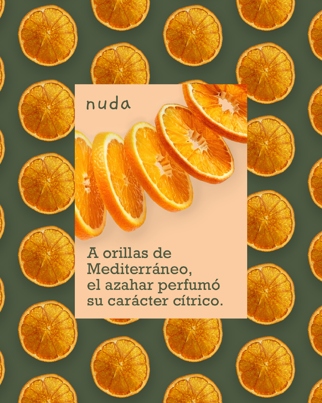 creacion de marca snack saludable creacion de marca snack saludable